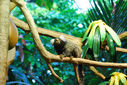 DSC_1151.jpg