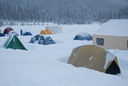 DSC_9335.jpg